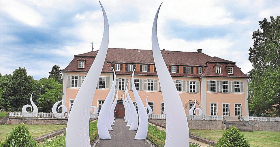 Kulturveranstaltungen, Hochzeiten und Tagungen finden bisher im Freudentaler Schloss statt. Archivfoto: Alfred Drossel