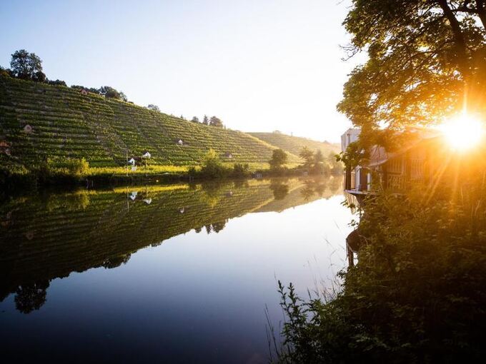 Erste Sonnenstrahlen fallen am Morgen auf die Weinberge am Neckar