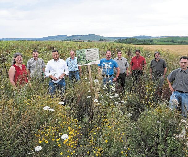Die verantwortlichen Akteure inmitten der Blühbrache für Rebhühner, Feldhasen und Insekten. Foto: Andreas Becker