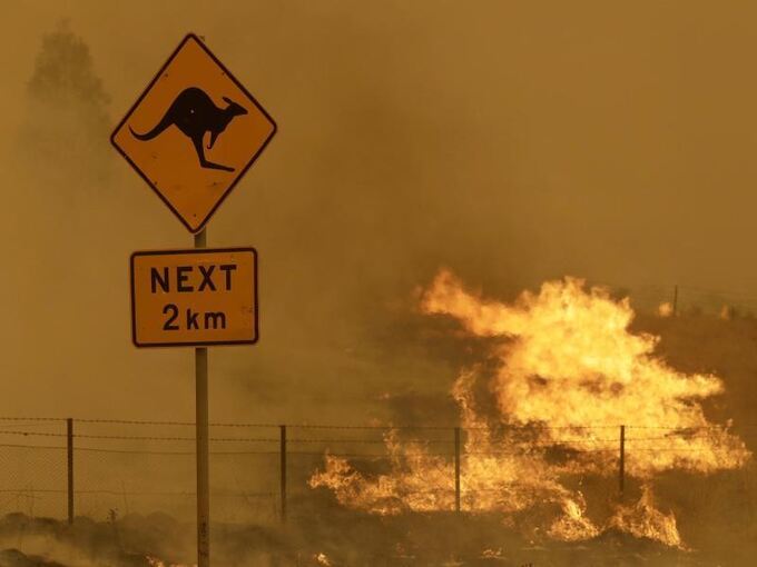 Australiens Brandkatastrophe und ihre Folgen Australiens Brandkatastrophe und ihre Folgen