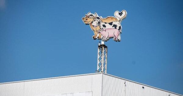 Mord in Schlachterei? - Tönnies-Arbeiter ersticht Kollegen - Deutschland - Ludwigsburger ...