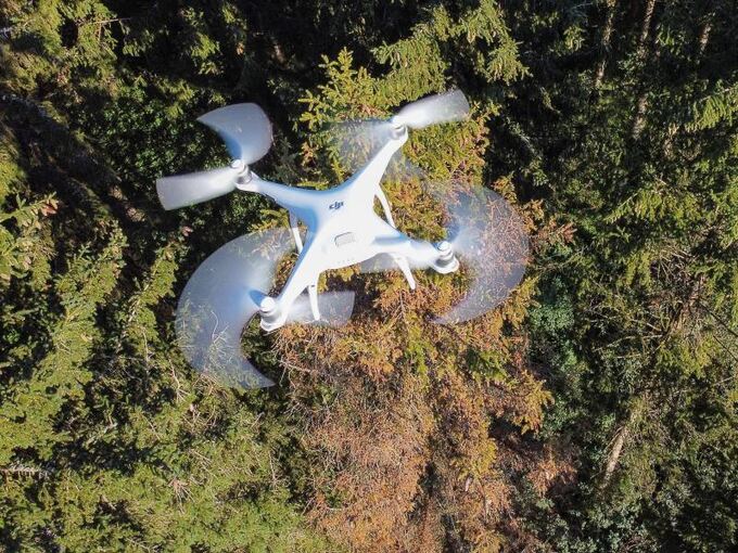 Eine Drohne fliegt über einem Waldgebiet