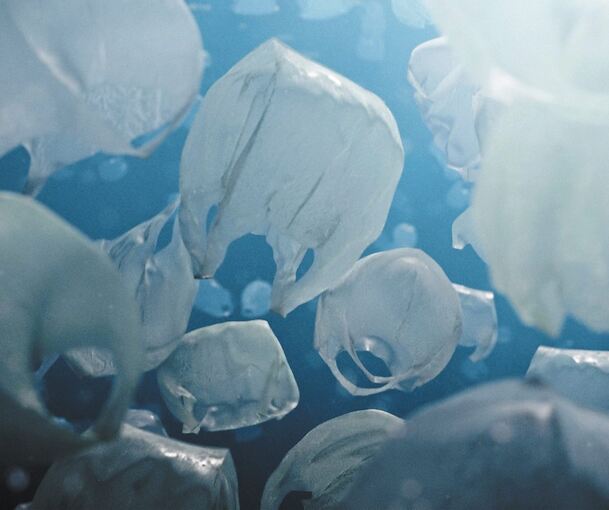 Fisch oder Autoreifen? In Pascal Schelblis „The Beauty“ verschwimmen die Grenzen zwischen Tier und Müll, zwischen Realem und Fiktivem.Fotos: Pascal Schelbli/p