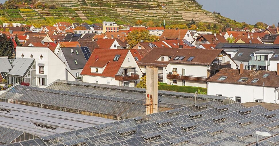 Wo jetzt noch Gewächshäuser stehen, soll bis 2023 ein Mix aus Mehrfamilien-, Reihen und Doppelhäusern gebaut werden. Foto: Holm Wolschendorf