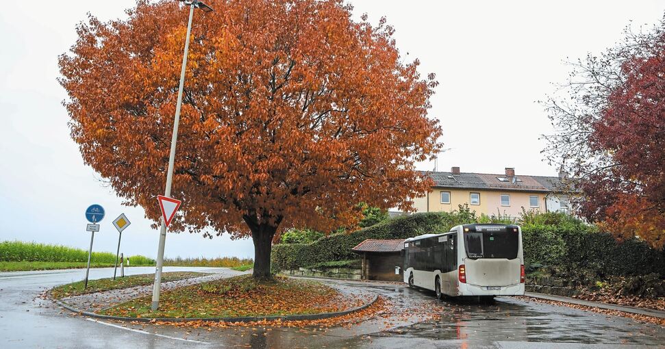 In Birkhau kann der Bus nicht gerade an die Bushaltestelle heranfahren, weshalb hier kein behindertengerechter Umbau möglich ist.Foto: Ramona Theiss