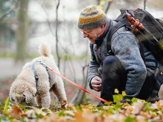 Trüffelhund Snoopy