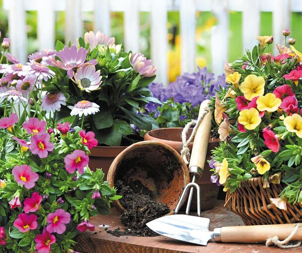 Wer in diesem Jahr Blumen gepflanzt hat, wird nicht geehrt: Die Blumenschmuckwettbewerbe fallen aus. Foto: Stefan Körber/stock.adobe.com
