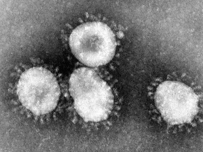 Eine Mikroskopaufnahme zeigt das Coronavirus