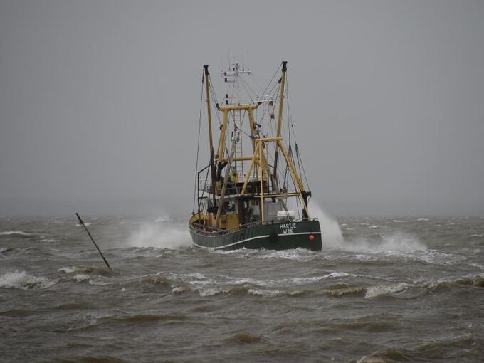 Fischerei in der Nordsee