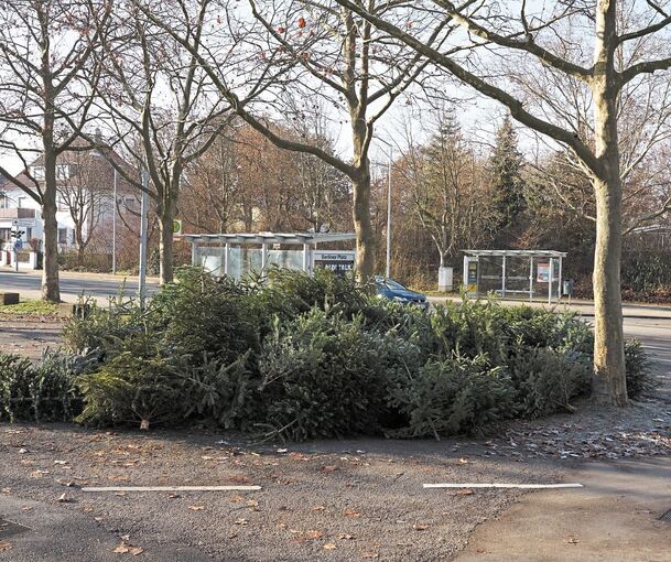 Sammelaktion abgesagt: Vom CVJM war am vergangenen Samstag auch auf dem Berliner Platz nichts zu sehen, was die Besitzer dieser Weihnachtsbäume jedoch nicht daran hinderte, ihre ausgedienten Nadelbäume dort abzulagern. Da liegen sie nun.Foto: Andreas