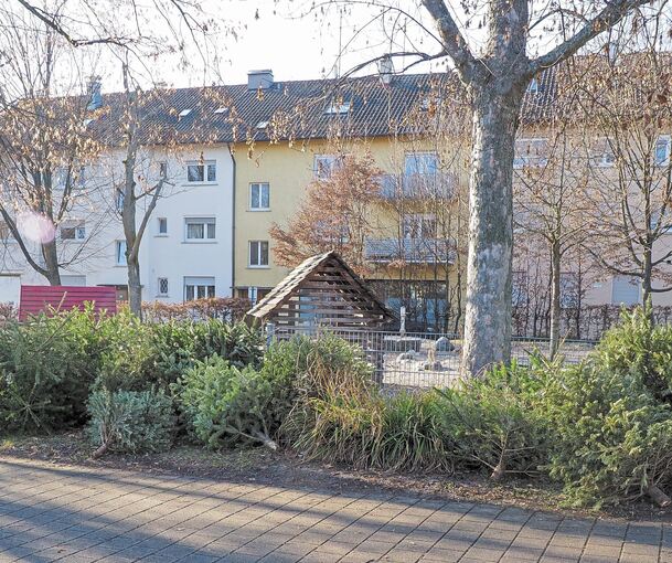 Am Sammelplatz Spielplatz Rosenackerweg in Eglosheim stapeln sich trotz abgesagter CVJM-Aktion die Bäume.Fotos: Holm Wolschendorf