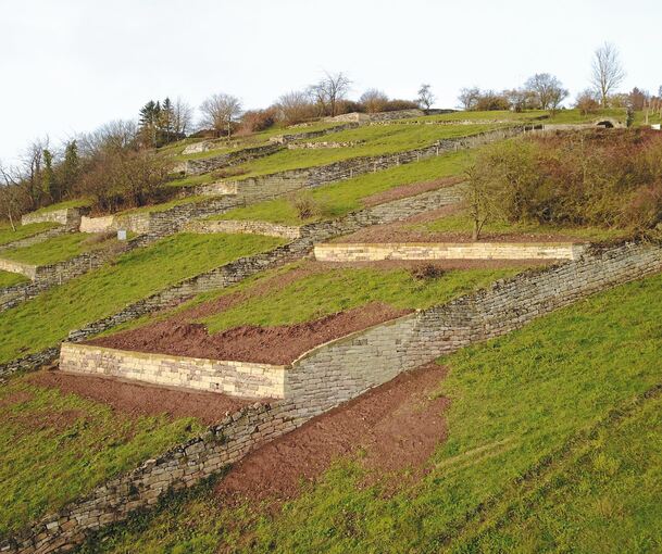 Sanierte Trockenmauern am Ochsenbacher Geigersberg.Foto: Landratsamt