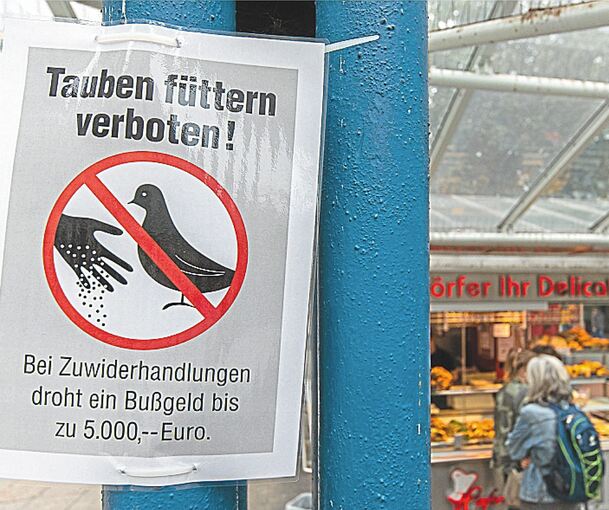 Ob – wie auf dem Bild – in Stuttgart oder Bietigheim-Bissingen: Städte sollen das Füttern von Tauben wieder zulassen, fordert Peta. Foto: Silas Stein/dpa