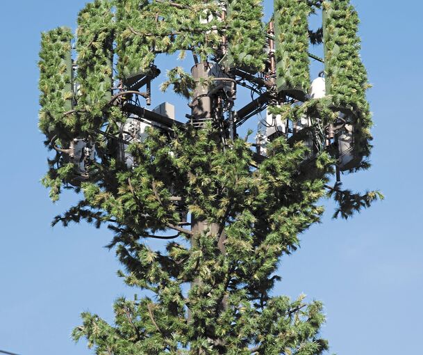 So könnte der Turm aussehen – als Nadelbaum getarnt. Archivfoto: Bruce Shippee/stock.adobe.com