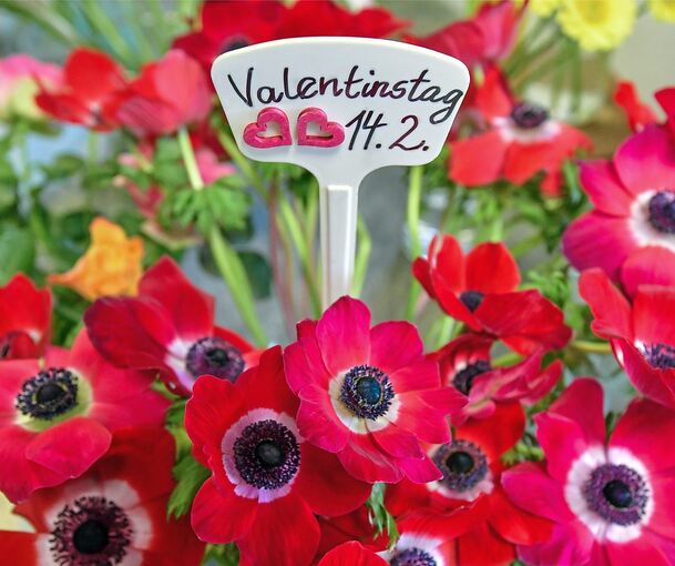 Viele Menschen freuen sich am Valentinstag über Blumen, das Johanniter-Haus in Pleidelsheim wünscht sich Karten oder Briefe für seine Bewohner. Archivfoto: Patrick Pleul/dpa