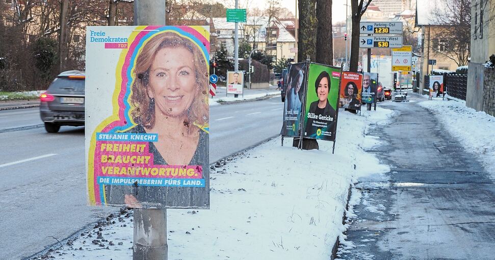 Es ist nicht zu übersehen: Überall in der Stadt wie hier an der B 27 hängen die Plakate zur Landtagswahl.Foto: Holm Wolschendorf