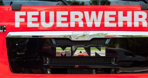 Ditzingen - Ludwigsburger Kreiszeitung