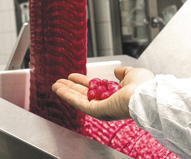 Künftig produziert Jung in Vaihingen keine Bonbons mehr. Foto: Jung