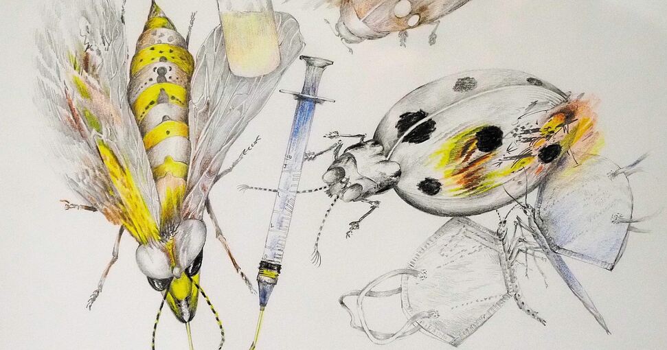 Vielfältig: Die „endemische Sattelschrecke mit weichem Bein“, der „frankophile Käsevogel“ und „vaccination“. Fotos: Holm Wolschendorf, Alfred Drossel