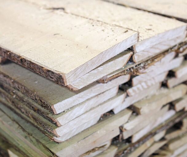 Holz gilt mittlerweile als knappes und teures Gut.Foto: Jan Woitas/dpa