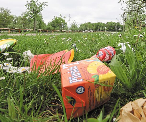 Fast-Food-Müll und Flaschen im Gras, überquellende Papierkörbe verschandeln die Landschaft. Sogar Kanister werden am Parkplatz entsorgt.Fotos: Ramona Theiss/privat