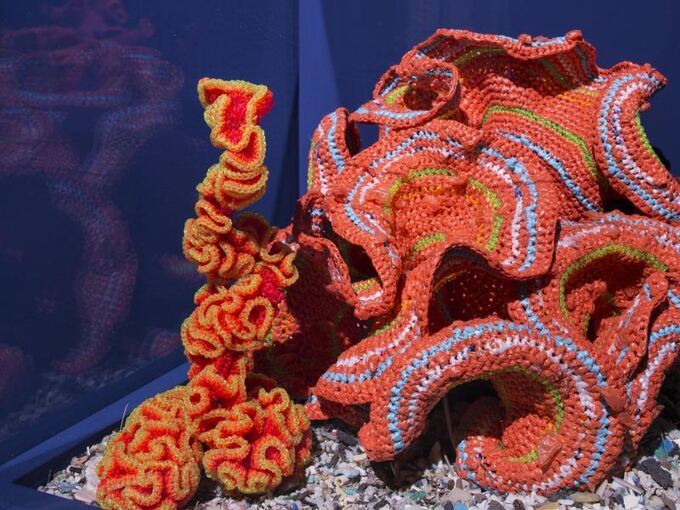 Museum ruft zum Korallen-Häkeln auf