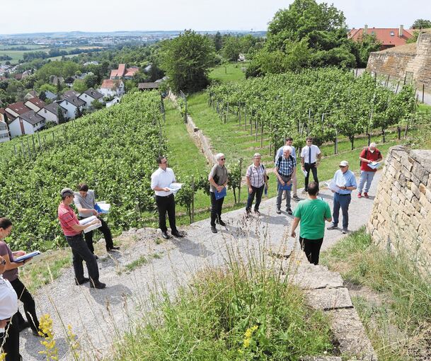 Meilenstein: Die Stadt übernahm am Montag offiziell die Zuständigkeit für die Landschaftspflege am Hohenasperg. Foto Ramona Theiss
