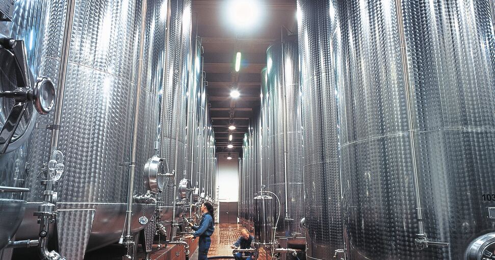 Weinkeller der WZG in Möglingen: 2021 rechnen die Weingenossen mit deutlich geringeren Absatzmengen. Foto: privat