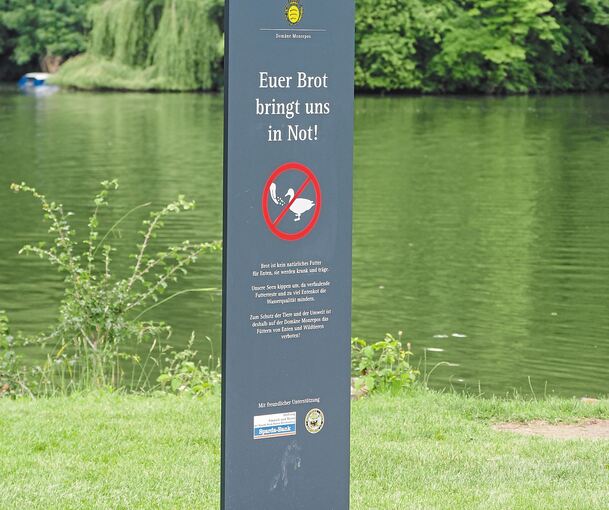 Eine Hinweistafel erklärt, warum an die Enten kein Brot gefüttert werden soll. Foto: Holm Wolschendorf