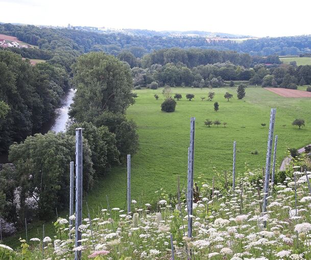 Die Enzaue ist für den VGH als Trasse für eine B 10-Umgehung wohl dauerhaft tabu. Archivfoto: A. Drossel