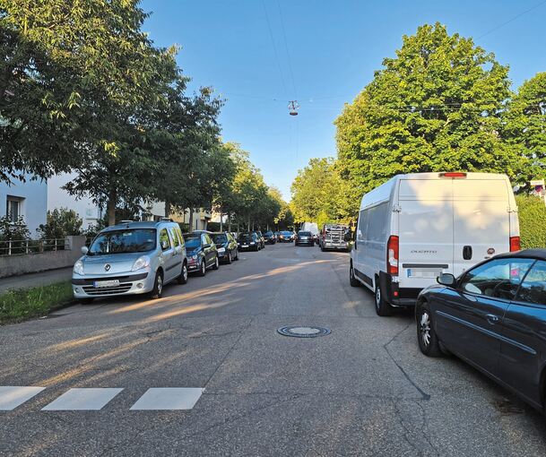Das Bewohnerparken in der Südstadt (Elmar-Doch-Straße) lässt mangels Kontrollen noch viele Fremdparker wie den weißen Van zu.Foto: Werner
