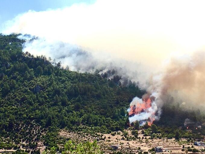 Waldbrand in der Türkei