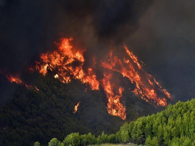 Waldbrand