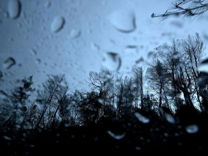 Waldbrände in Griechenland Waldbrände in Griechenland