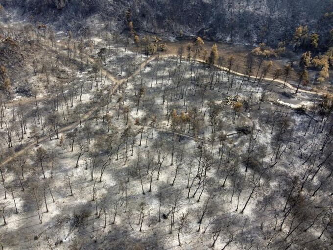 Waldbrände in Griechenland Waldbrände in Griechenland