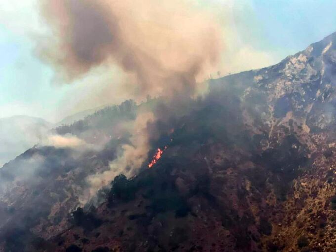 Waldbrände in Italien Waldbrände in Italien