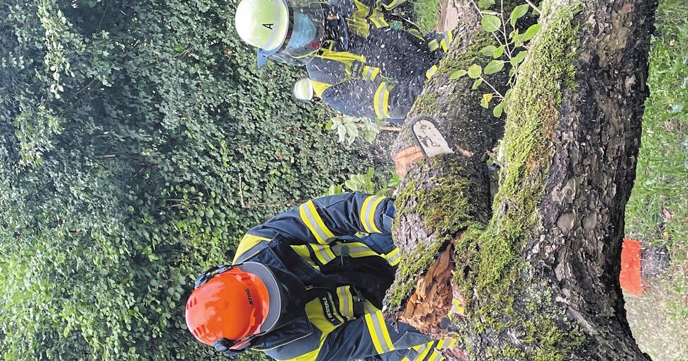 Die umgestürzten Bäume müssen bearbeitet werden.Foto: Feuerwehr Affalterbach