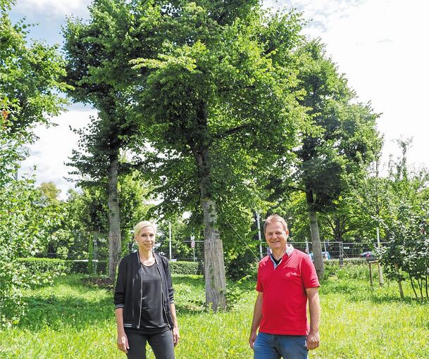 Ulrike Schmidtgen und Michael Kamps im Walckerpark an der Heilbronner Straße, der neu gestaltet wird. Im Hintergrund eine rund 60 Jahre alte Linde, die dem Parkhausbau weichen musste und umgepflanzt wurde. Foto: Holm Wolschendorf