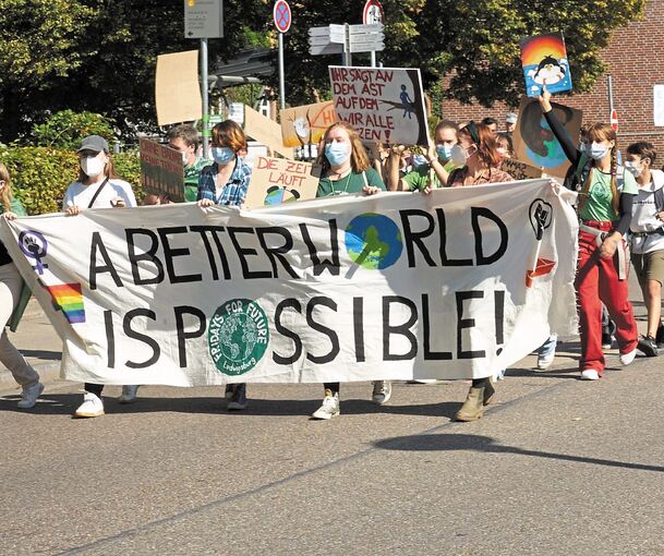 Mit Bannern und Plakaten zeigen viele Menschen bei einer Demonstration in Ludwigsburg ihren Klimaprotest. Foto: Andreas Becker