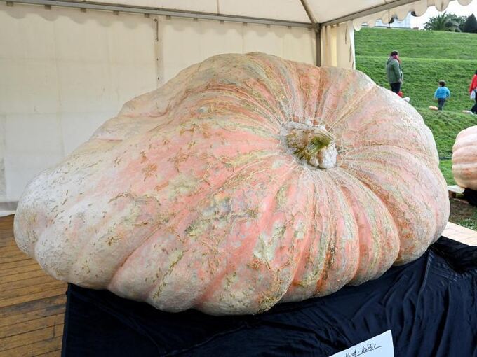 Kürbisausstellung in Ludwigsburg