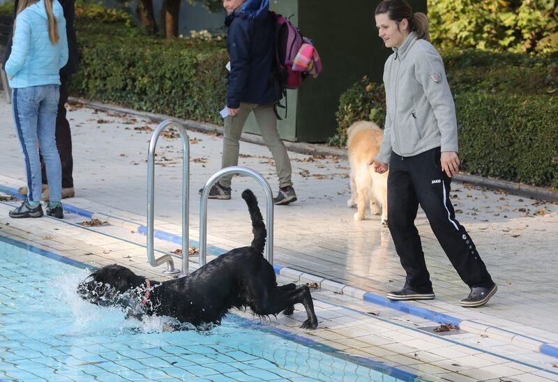 350_0008_2805004_09_10_2021Theiss_11