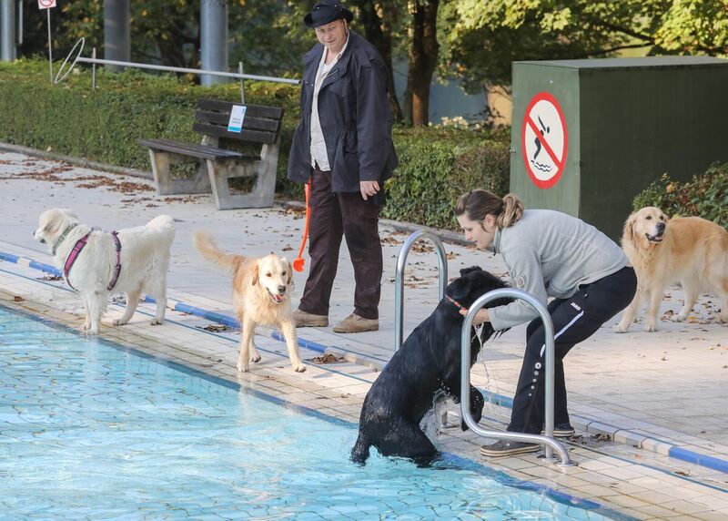 350_0008_2805007_09_10_2021Theiss_10