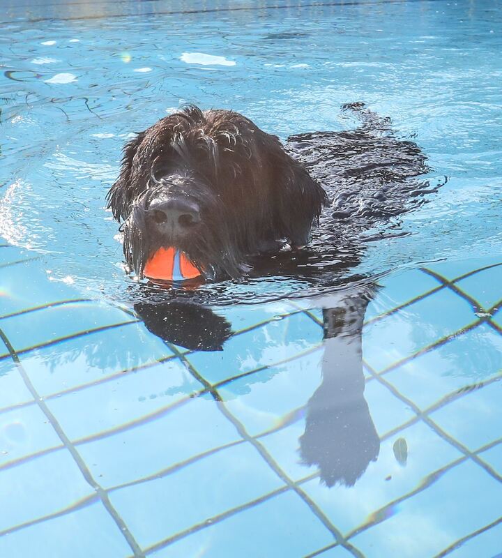 350_0008_2805008_09_10_2021Theiss_12