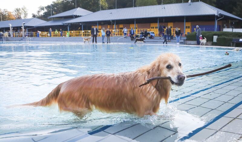 350_0008_2805009_09_10_2021Theiss_13