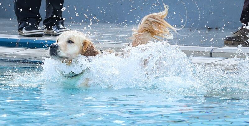 350_0008_2805010_09_10_2021Theiss_17