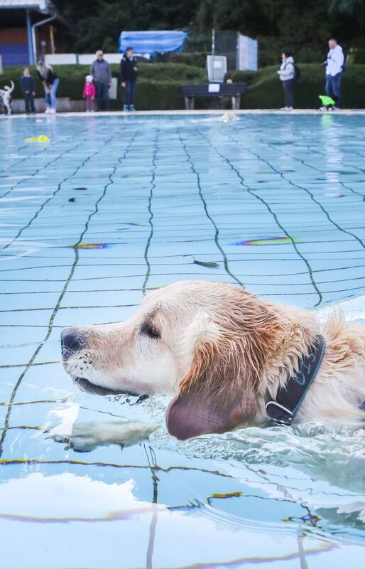 350_0008_2805011_09_10_2021Theiss_16