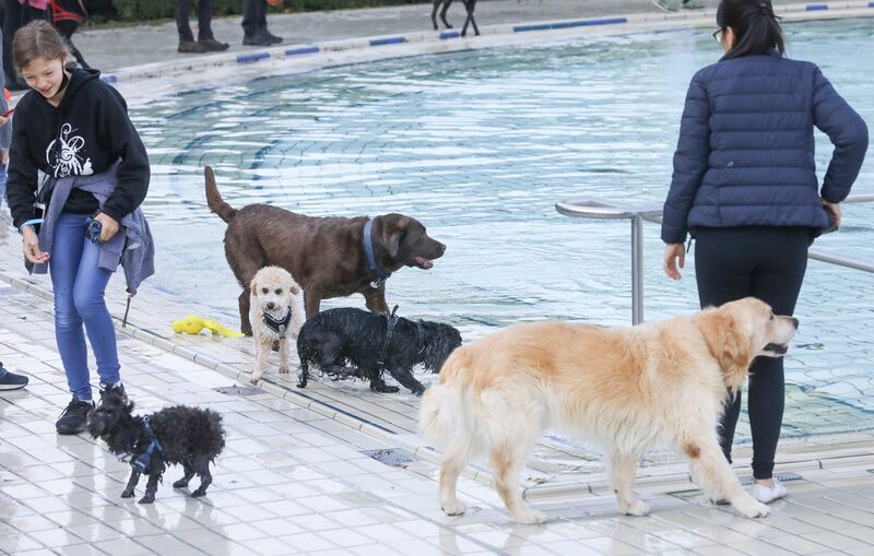 350_0008_2805017_09_10_2021Theiss_21