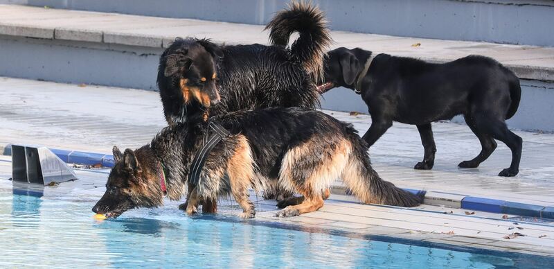 350_0008_2805018_09_10_2021Theiss_24