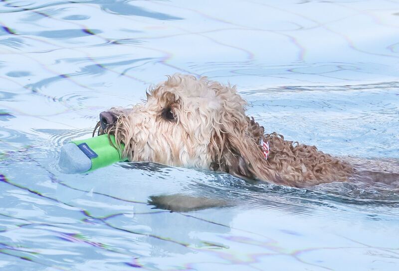 350_0008_2805019_09_10_2021Theiss_23