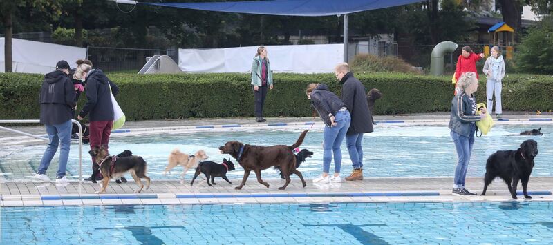 350_0008_2805024_09_10_2021Theiss_27